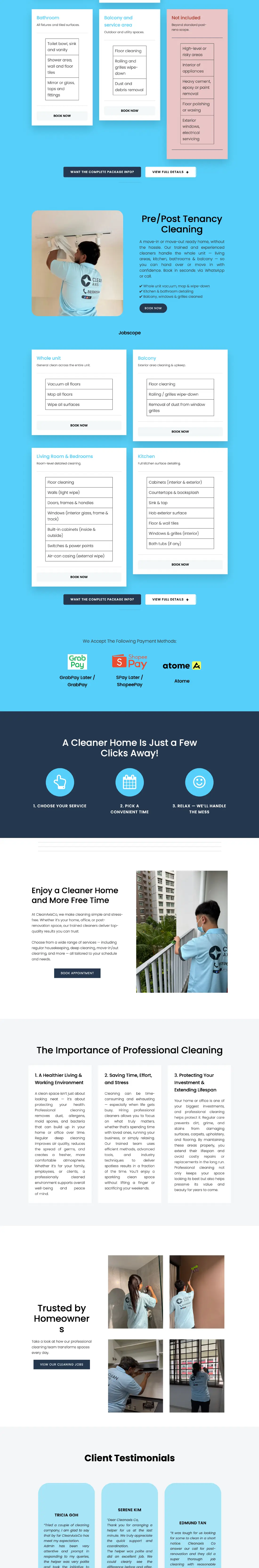 CleanAxisCo old homepage, full length